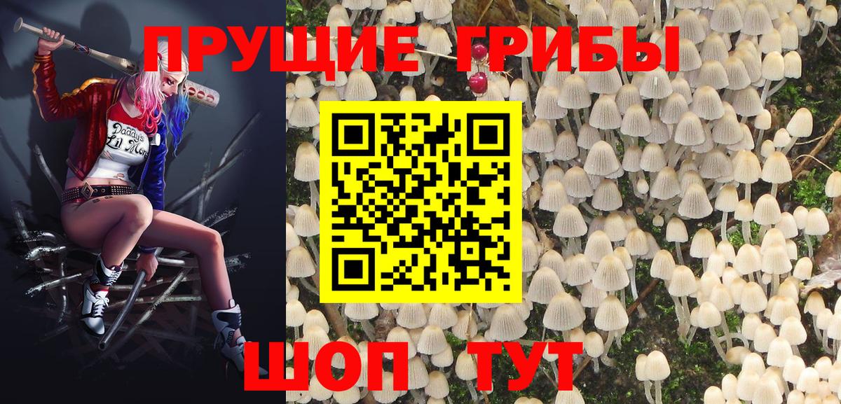 Галлюциногенные грибы Cubensis Гусев