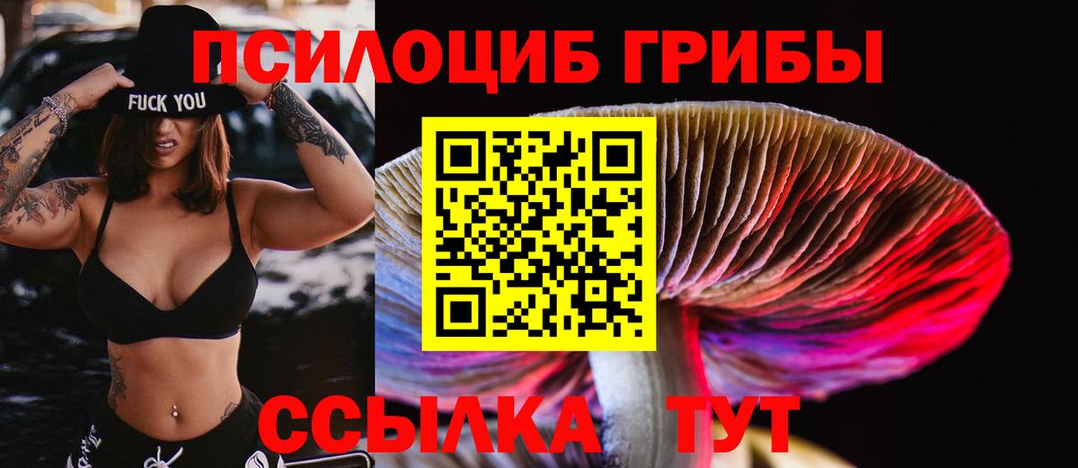 цена   Галлюциногенные грибы Magic Shrooms  Вход с VPN  Гусев 